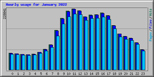 Hourly usage for January 2022